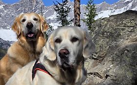 Almfrieden Hotel&Romantikchalet